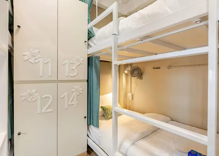 Albergue Lily House