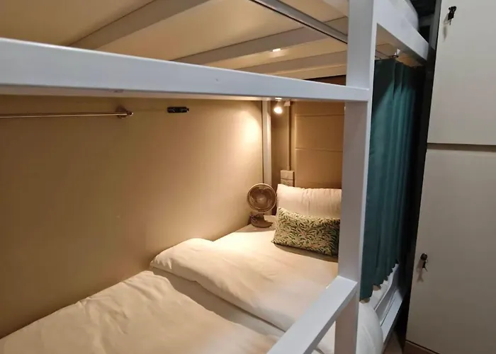 Albergue Lily House *