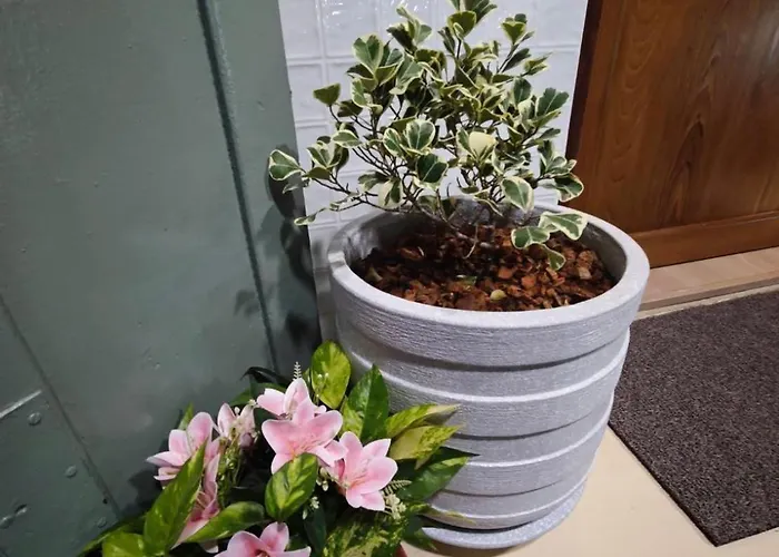 Albergue Lily House Banguecoque
